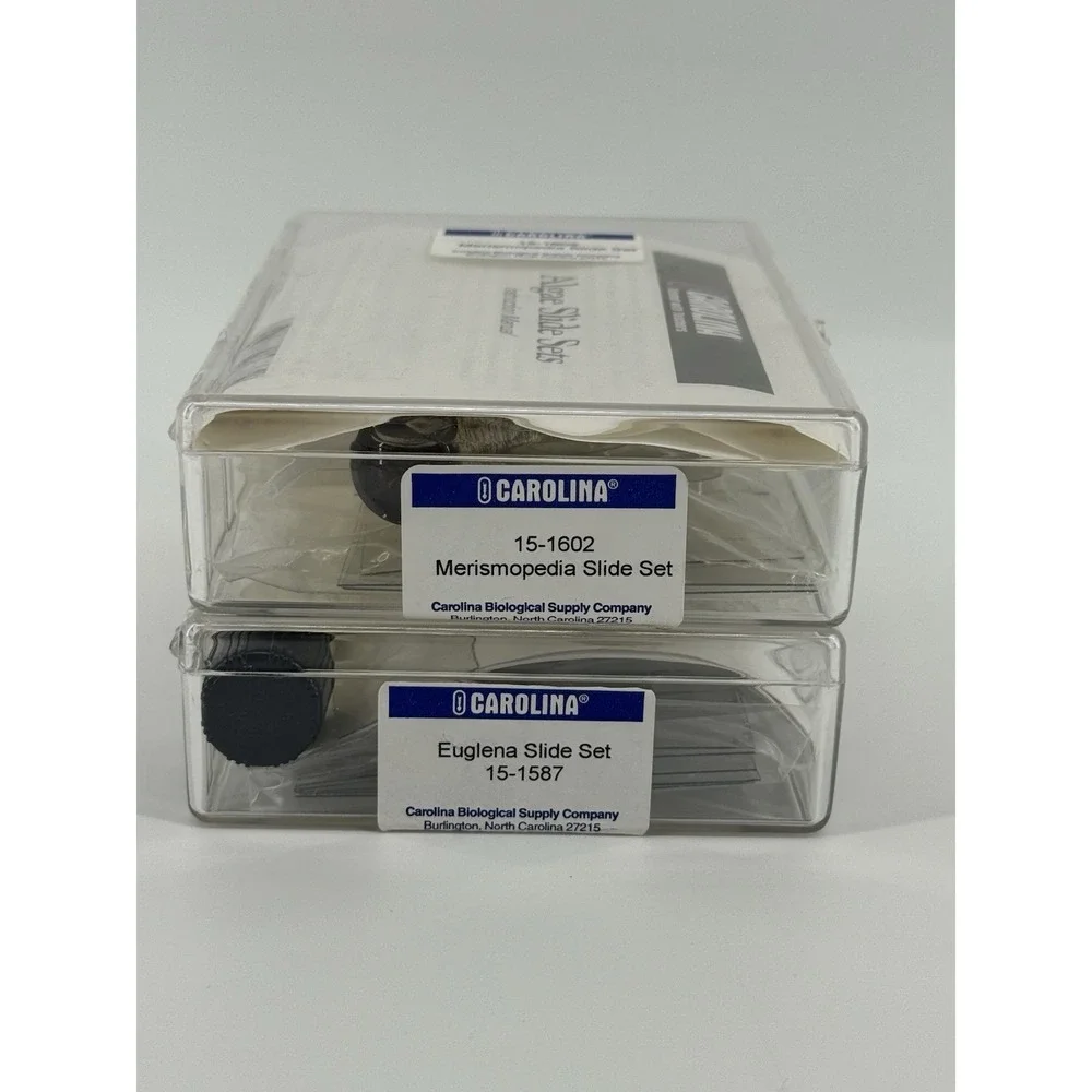 Carolina‎ Euglena & Merismopedia Algae Microscope Slide Set w/ Observation Gel